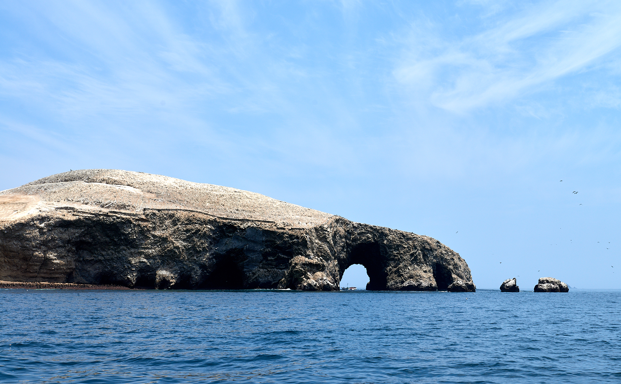 20200304 217 [페루] 바예스타섬